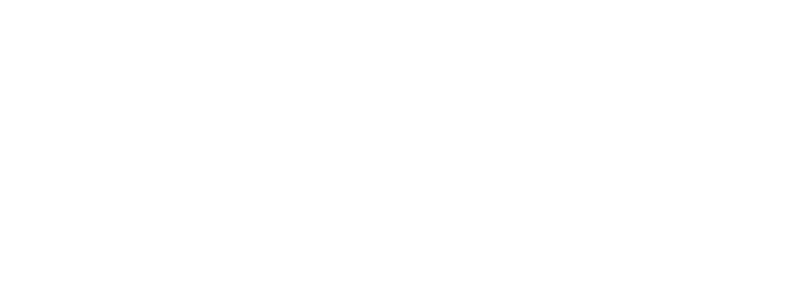 猫と森